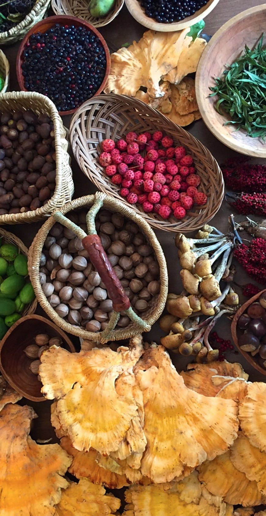 Baskets and bowls of foraged foods: berries, nuts, chicken-of-the-woods and other wild mushrooms