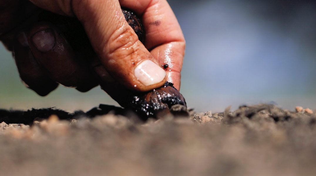 A hand holding seeds